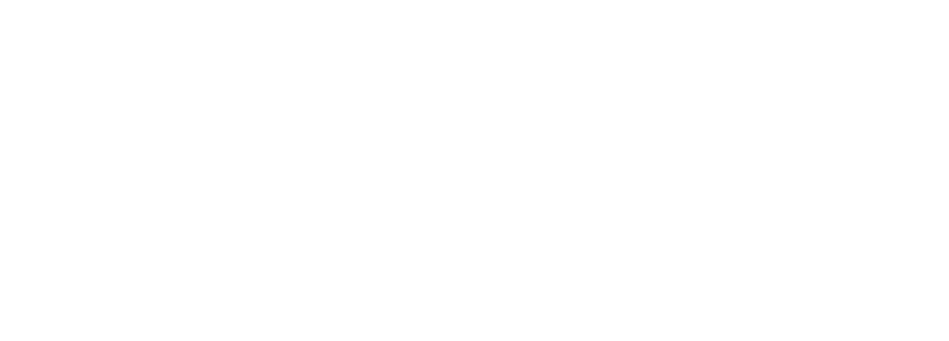 Friends of Notre-Dame de Paris